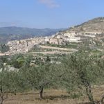 Nuovi vertici per la fondazione Doletti: scelti dal sindaco i componenti del Cda