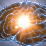 Invecchiamento del cervello, trovato “elisir di giovinezza”