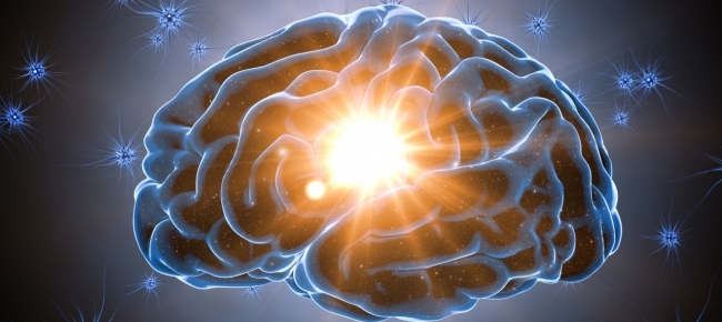 Invecchiamento del cervello, trovato “elisir di giovinezza” Invecchiamento del cervello, trovato “elisir di giovinezza”