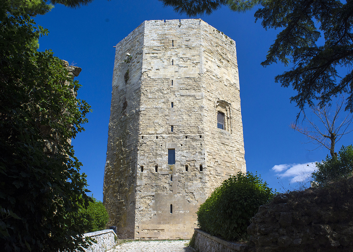 Anche in città arriva “Puliamo l’Europa”, fari puntati sulla Villa Torre di Federico