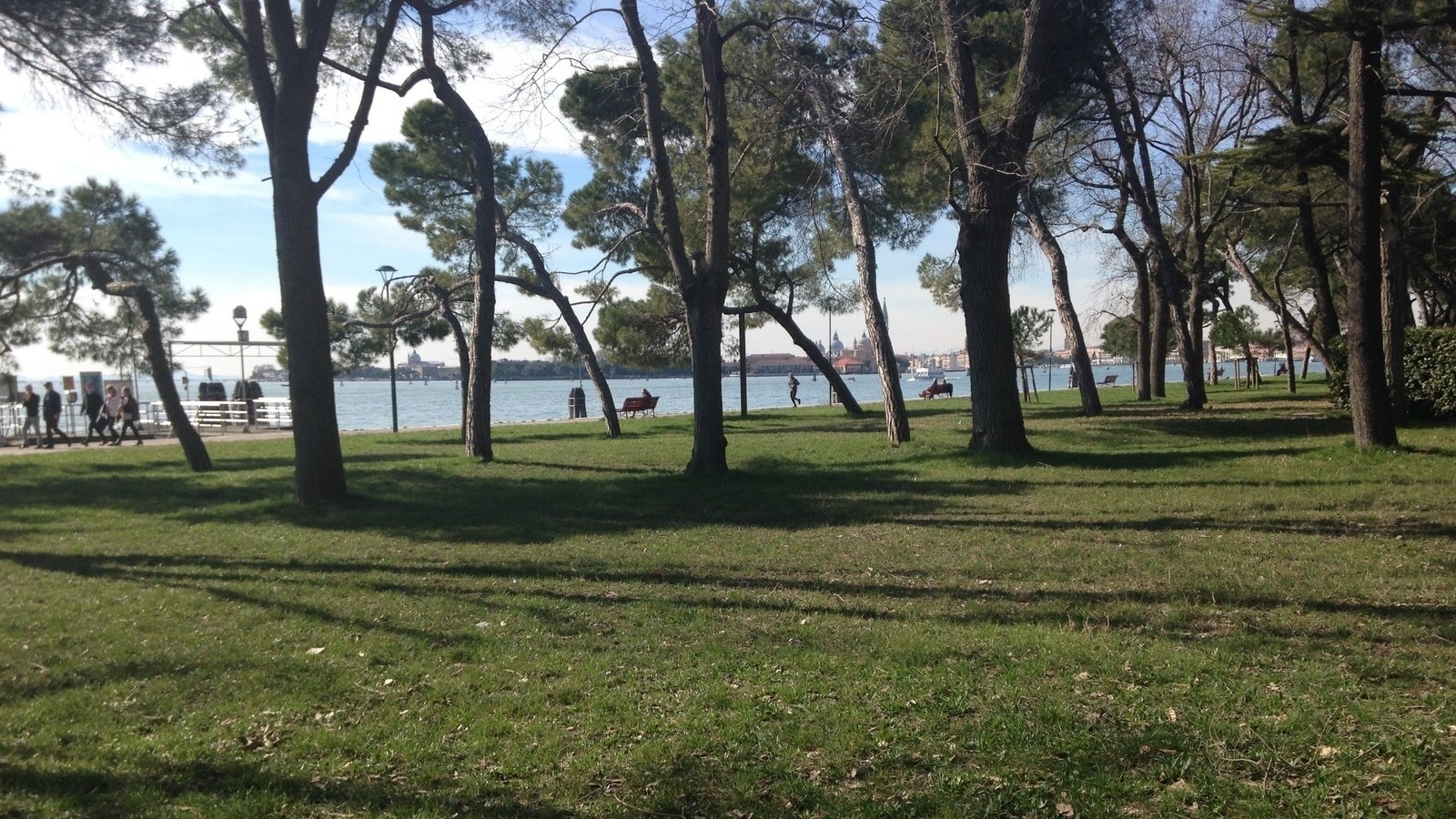 Un polmone verde per la città aretusea Sarà realizzato un vero e proprio bosco