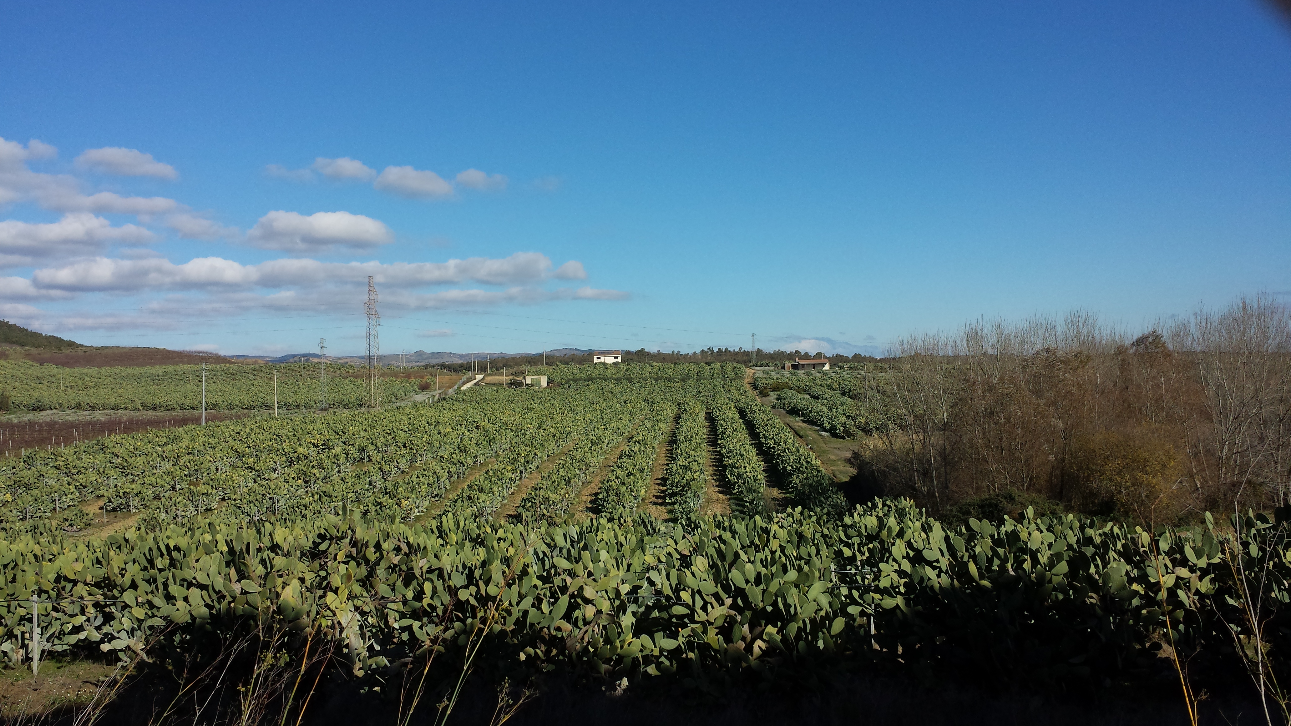 Fondi contro la fuga dal calatino, c’è il sì al preliminare di strategia