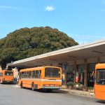 Marsala e la promozione dei trasporti pubblici in un’ottica di eliminazione futura delle auto e dell’inquinamento