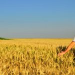 Agricoltura: in arrivo per le nuove leve 260 milioni di euro