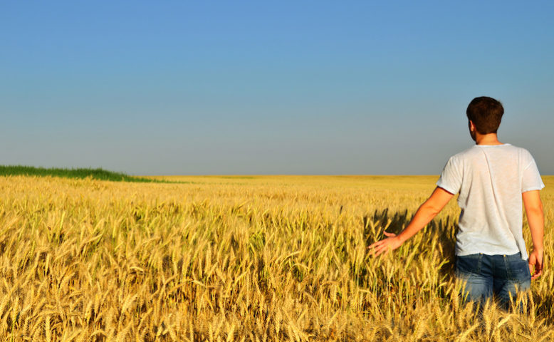 Agricoltura: in arrivo per le nuove leve 260 milioni di euro