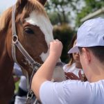 Una giornata all’insegna della pet therapy per i ragazzi del centro di riabilitazione Aias