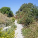 Per la pulizia dei terreni inizia il conto alla rovescia: termine ultimo 15 giugno