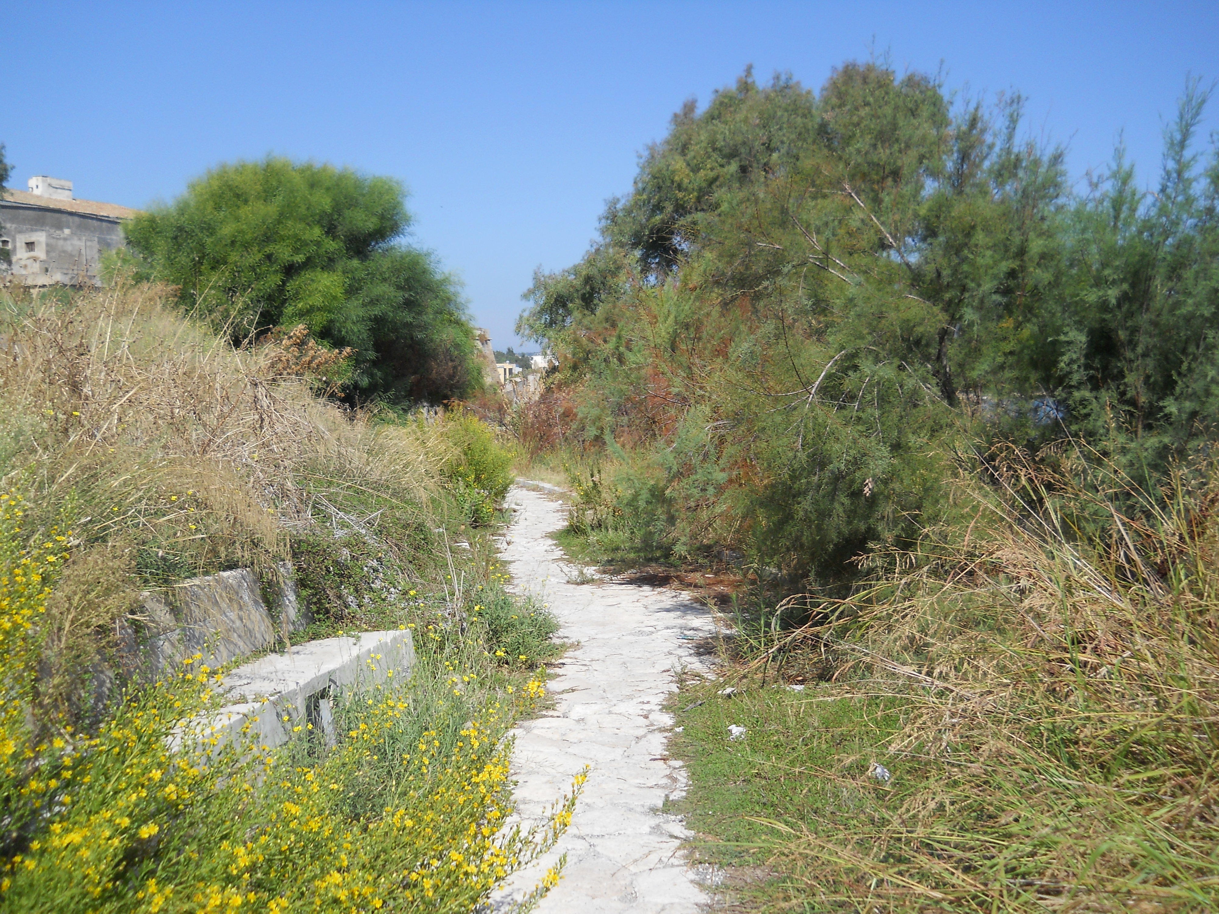 Per la pulizia dei terreni inizia il conto alla rovescia: termine ultimo 15 giugno