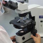 Sclerosi multipla e cellule staminali, i neurologi si riuniscono a Pantelleria