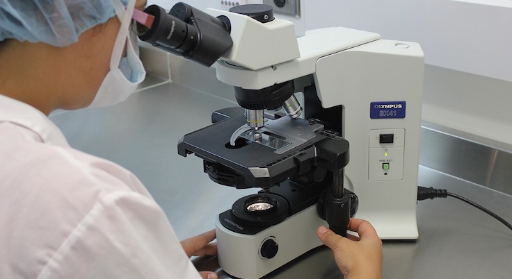 Sclerosi multipla e cellule staminali, i neurologi si riuniscono a Pantelleria