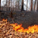 Capo d’Orlando, disposizioni per la prevenzione degli incendi
