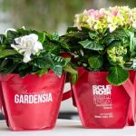 Aism Siracusa premia le istituzioni meritevoli