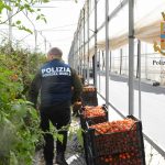 Caporalato, titolari di un’azienda agricola denunciati per sfruttamento manodopera