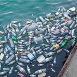 Giovani in prima linea per limitare i danni. Le azioni sostenibili per salvare l’ambiente