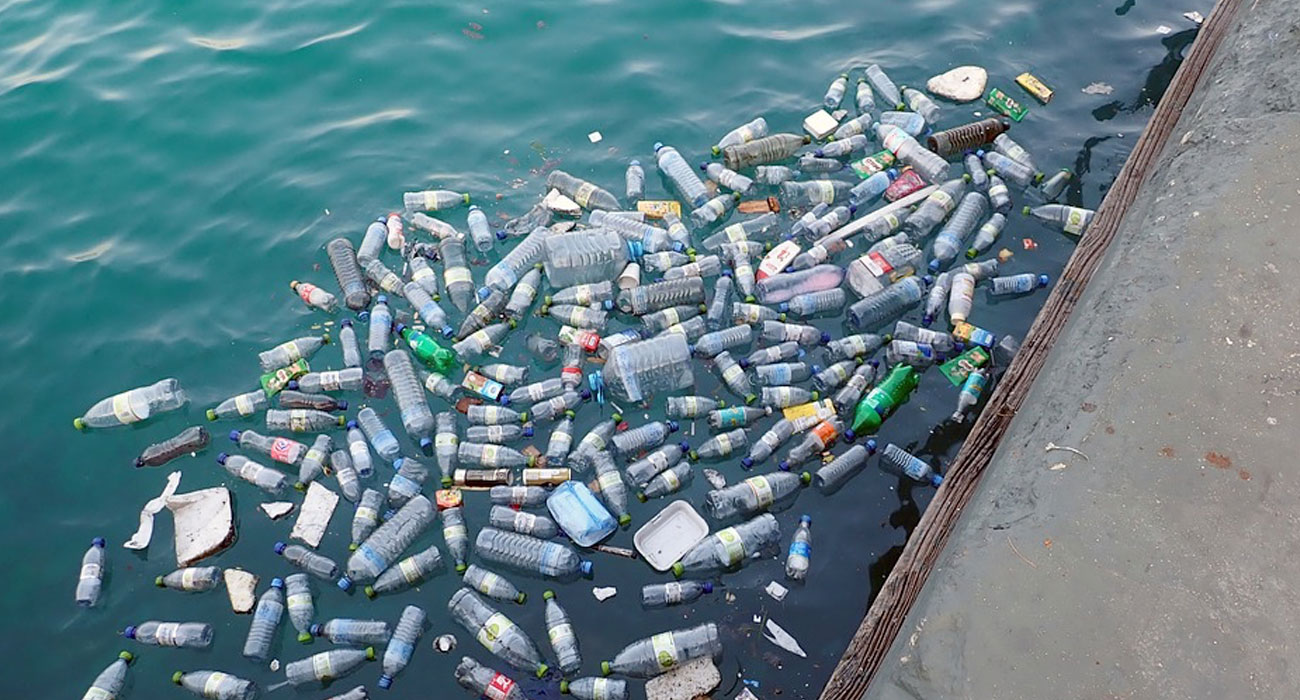 Giovani in prima linea per limitare i danni. Le azioni sostenibili per salvare l’ambiente