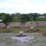 Da Mantova a Palermo, cento studenti visitano il “Giardino della memoria”