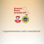 Agrumi: un’app per riconoscere le vere arance rosse siciliane
