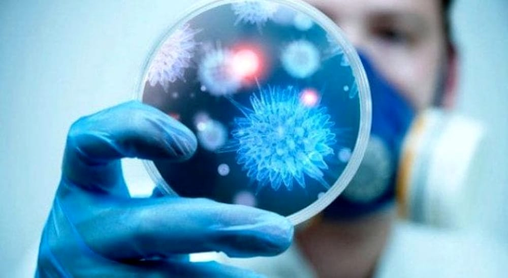 Effetto superbatteri minaccia l’economia