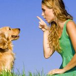 Va da amante con la scusa di fare uscire il cane, cucciolo “sbugiarda” marito