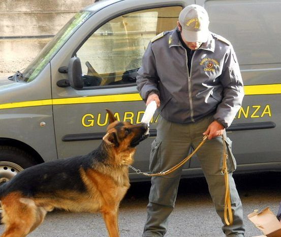 Mafia: operazione della Finanza contro il clan Fontana