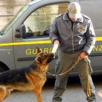 Mafia: operazione della Finanza contro il clan Fontana