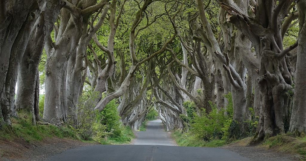 L’Irlanda del Nord ringrazia “Game of Thrones” L’Irlanda del Nord ringrazia “Game of Thrones”