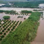 Agricoltura ed eventi climatici estremi, solo un’azienda italiana su dieci è assicurata