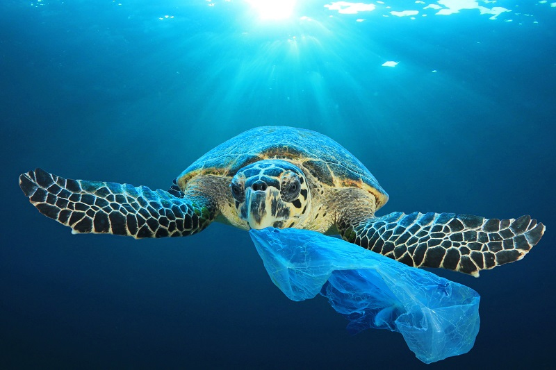 Plastic tax, Confapi “Colpita pesantemente anche la Sicilia”