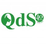 Uno strumento moderno e innovativo vi presentiamo il nuovo QdS.it