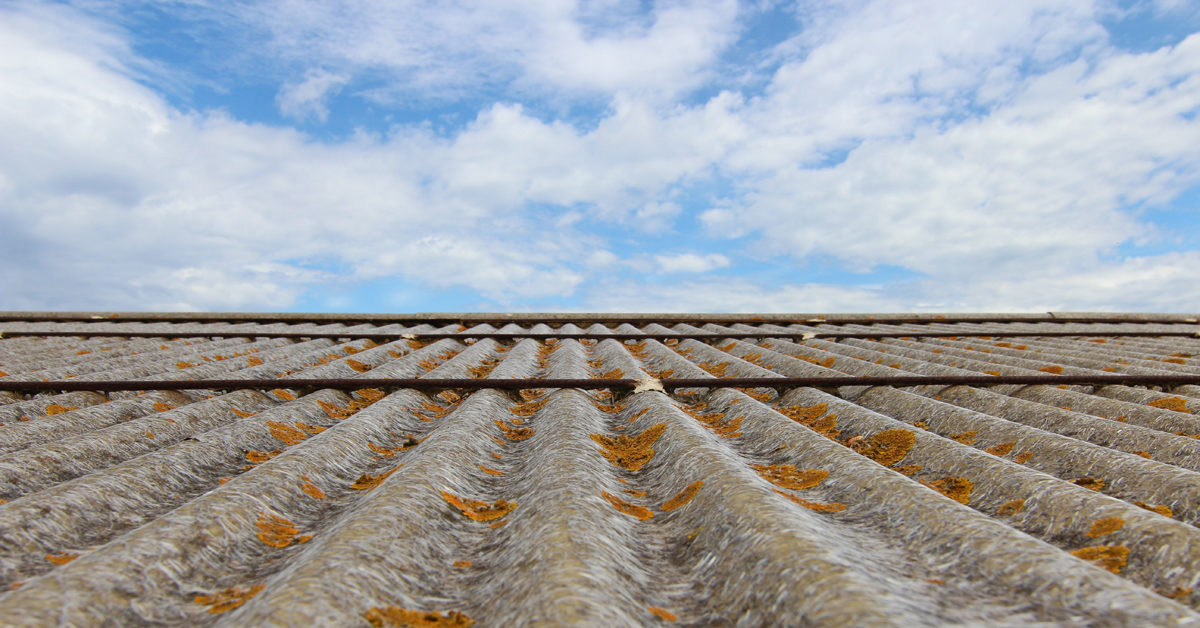 Incubo amianto nelle scuole siciliane: seicento vittime all’anno non smuovono le bonifiche