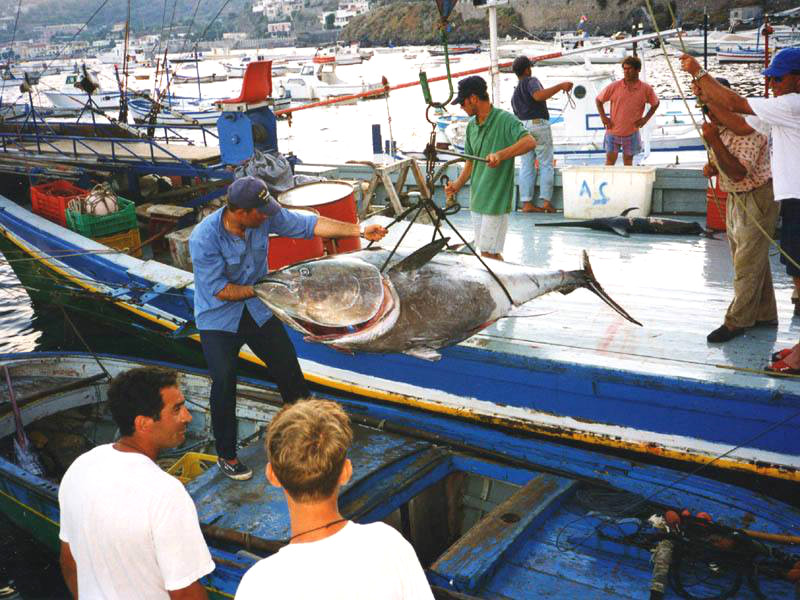 Tonnara di Favignana: dopo la polemica, la rabbia