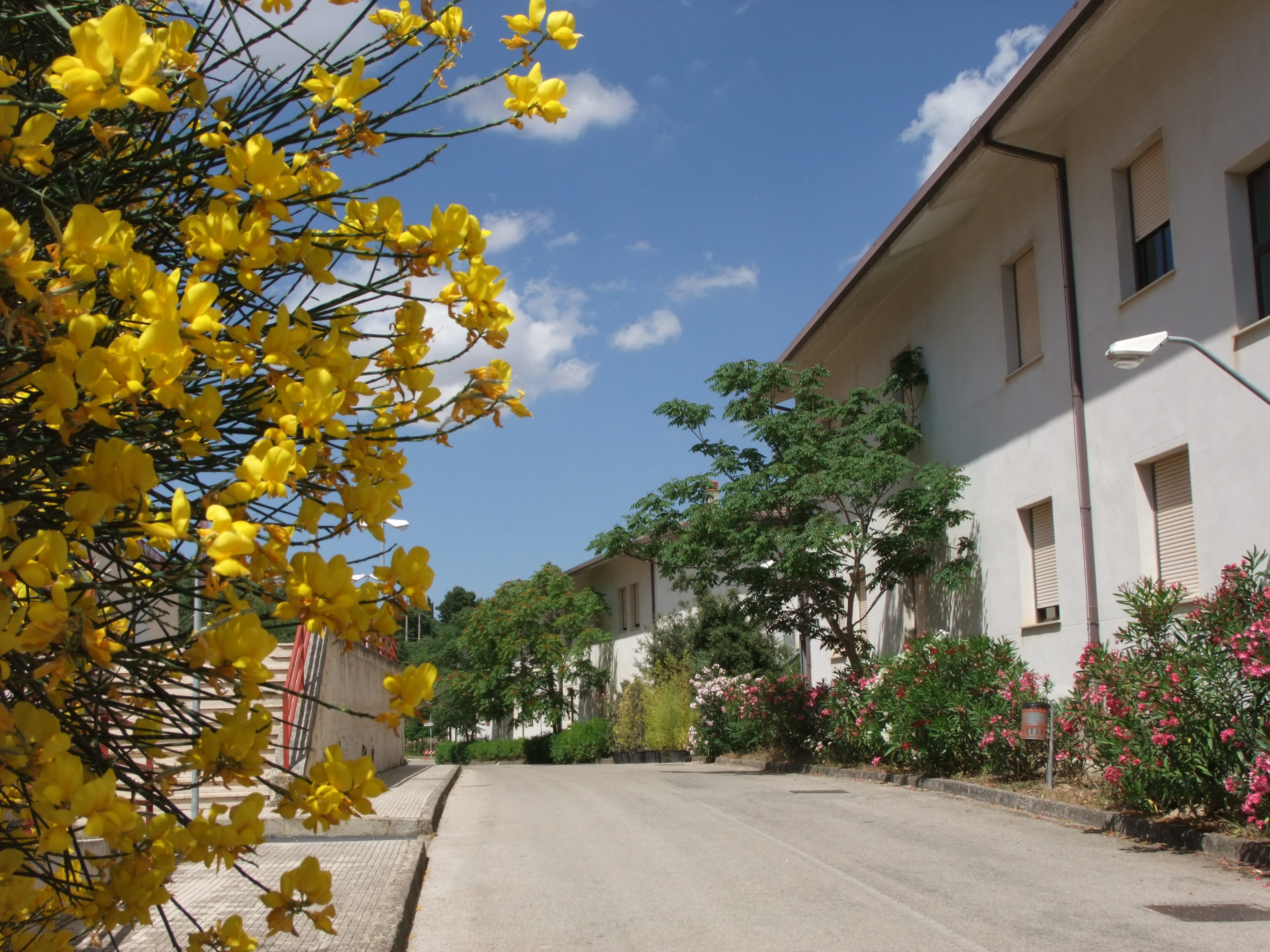 Il Cefpas e le iniziative per rilanciarlo tra le questioni sul tavolo di Gambino