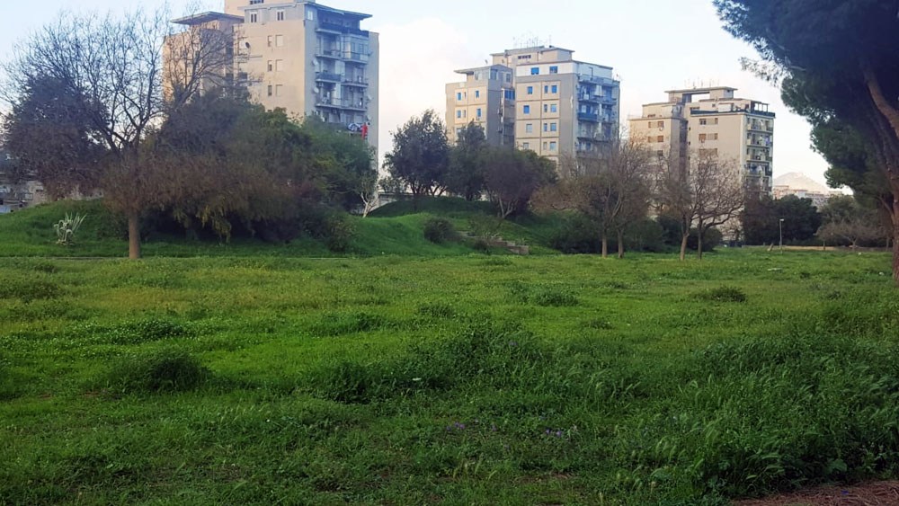 Il Comune prova con “I luoghi del cuore” per recuperare e rilanciare Parco Tindari