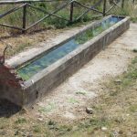 Gli abbeveratoi non saranno riattivati La Giunta: “Non faremo favoritismi”