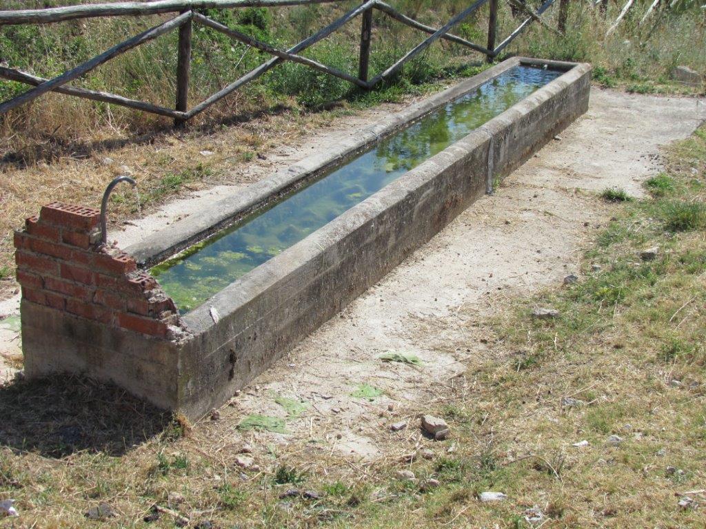 Gli abbeveratoi non saranno riattivati La Giunta: “Non faremo favoritismi”