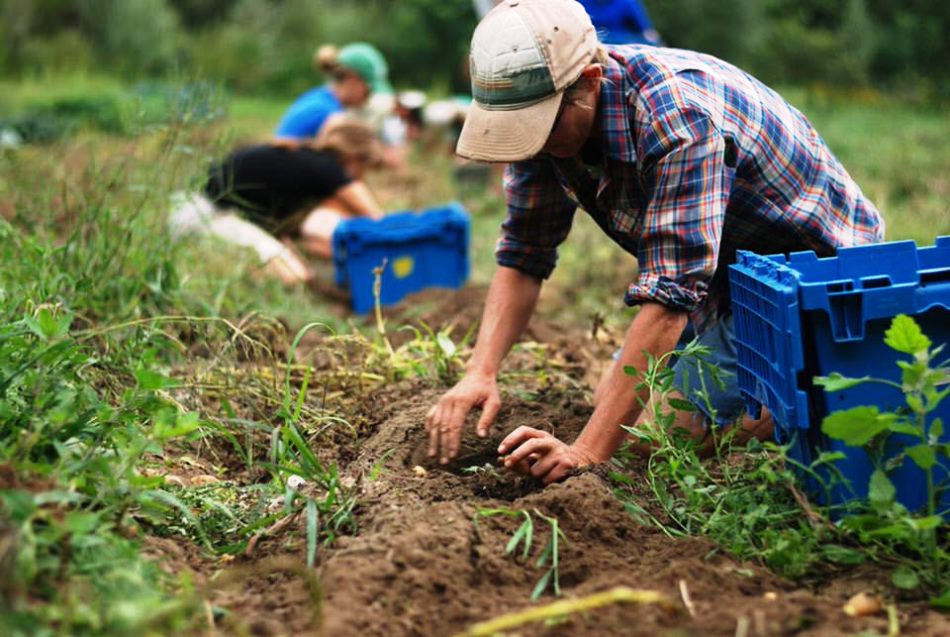 Bandi Psr, “Nessun rischio disimpegno fondi”