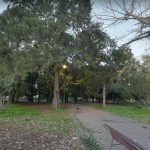 Gestione del verde pubblico sotto esame l’Amministrazione tenta la carta privati