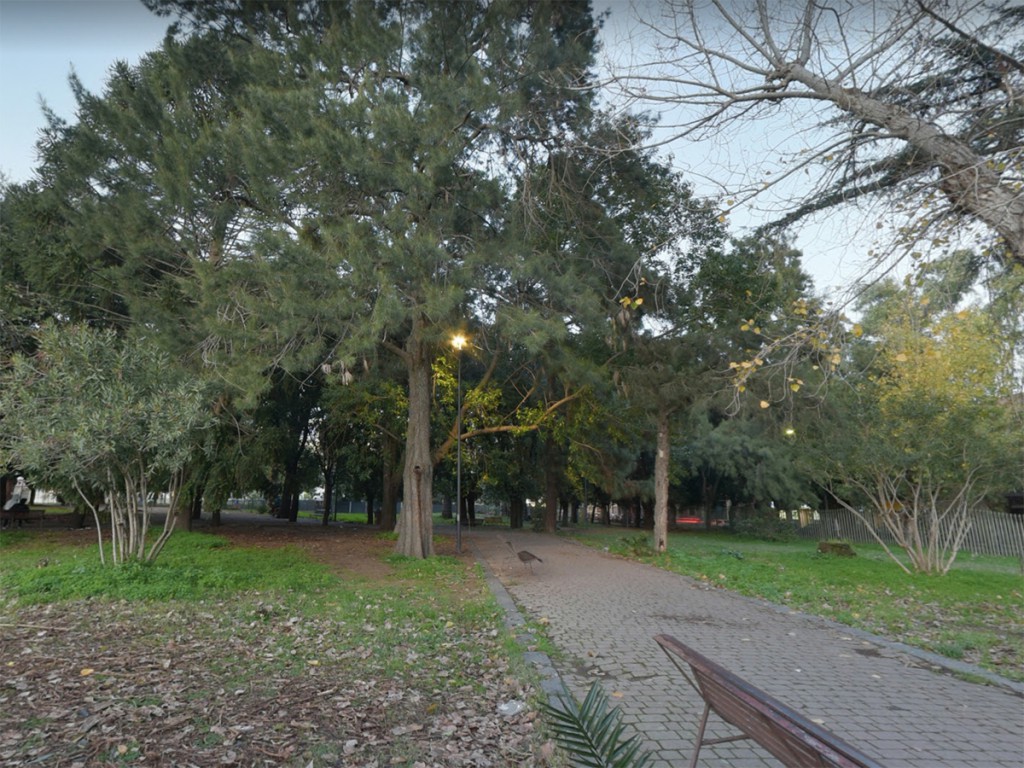 Gestione del verde pubblico sotto esame l’Amministrazione tenta la carta privati