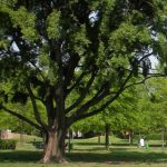 La Sicilia sprofonda, dati Istat disastrosi sul Bes