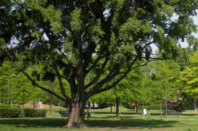 La Sicilia sprofonda, dati Istat disastrosi sul Bes