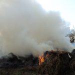 Caos fumarole, la denuncia della deputata Campo (M5s): “Serve vigilanza notturna”