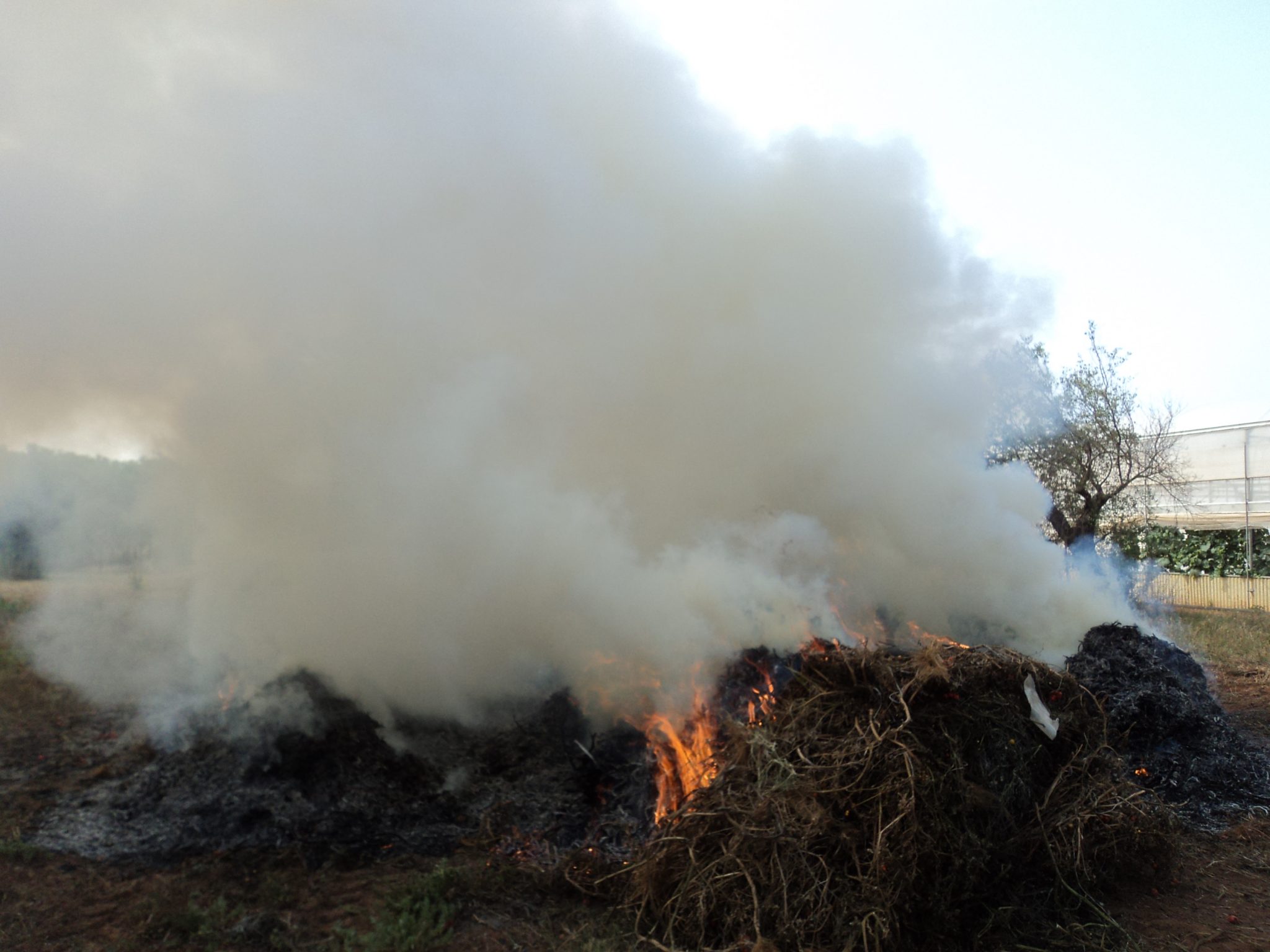 Caos fumarole, la denuncia della deputata Campo (M5s): “Serve vigilanza notturna”