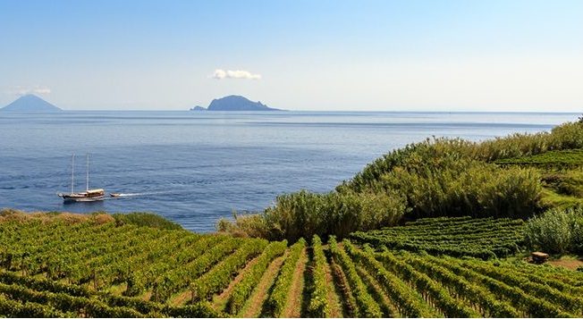 Vino, il 20 luglio al via la decima edizione del Malvasia day