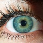 Cheratite da Acanthamoeba, rara infezione che può far perdere la vista, i sintomi