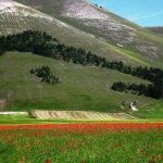 Sicilia, la Regione sblocca legge su ecomusei inattuata da cinque anni