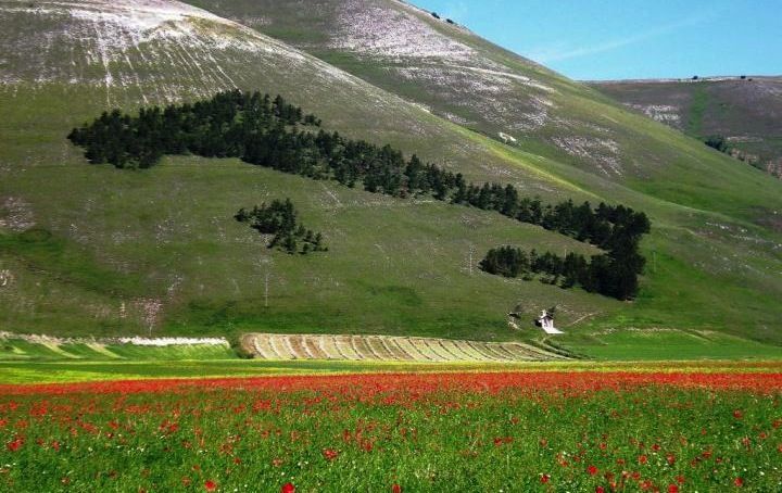 Sicilia, la Regione sblocca legge su ecomusei inattuata da cinque anni