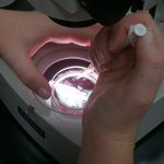 Embrioni umani dalle cellule staminali: la scoperta che pone nuovi interrogativi etici