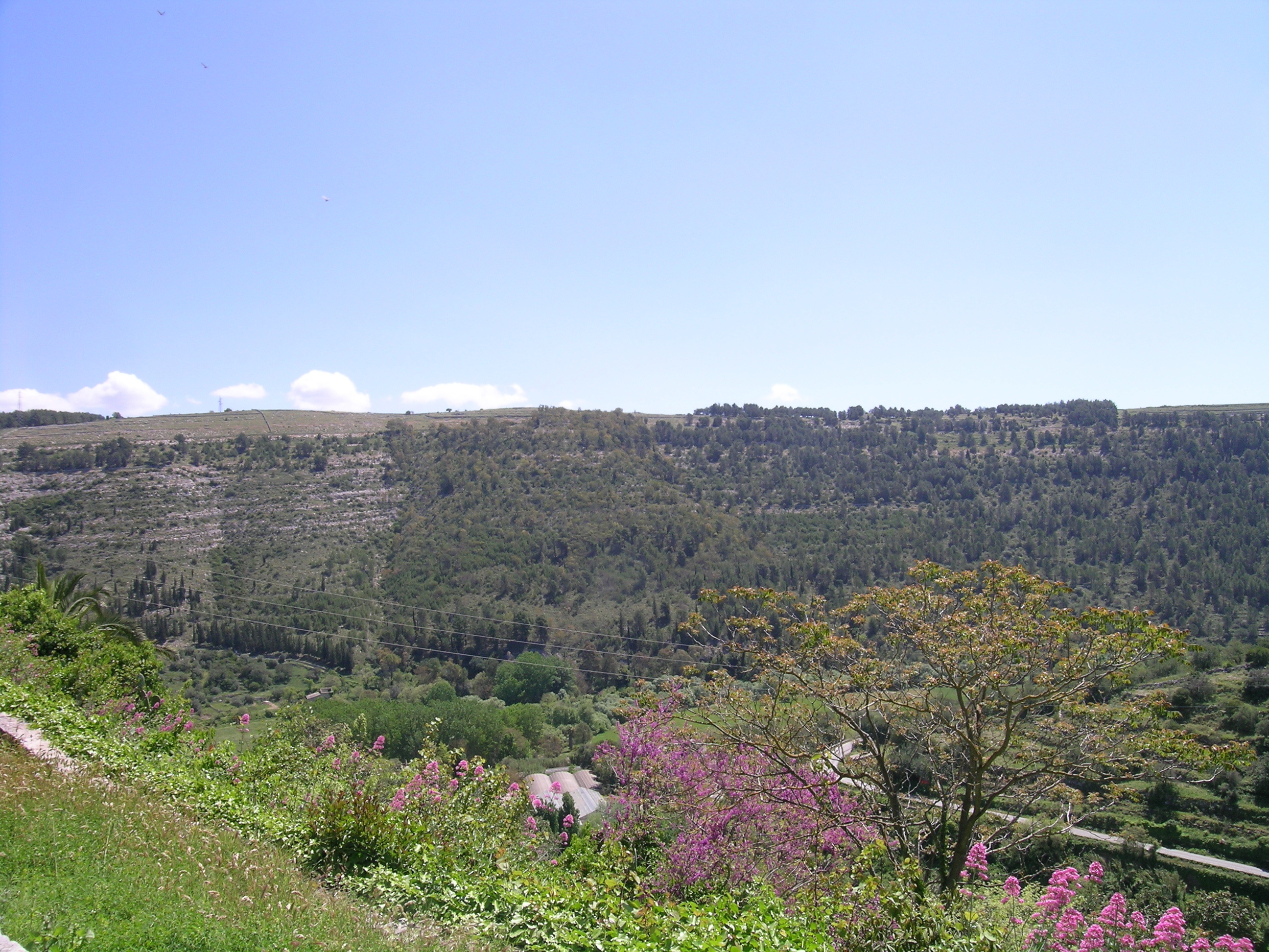 Istituzione del “Parco degli Iblei” ultimo confronto prima del 17 luglio
