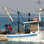 Valorizzazione della pesca siciliana