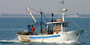 Valorizzazione della pesca siciliana
